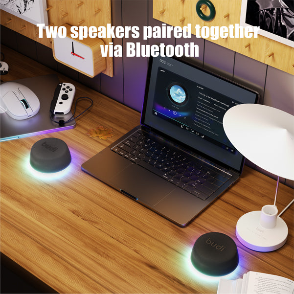 Wireless Magnetic Base Speaker